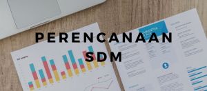 Perencanaan-SDM-Training-SDM-oms8mgwqij14m6mbpqhg6r91iifzbfumcmm8isjloo.jpg